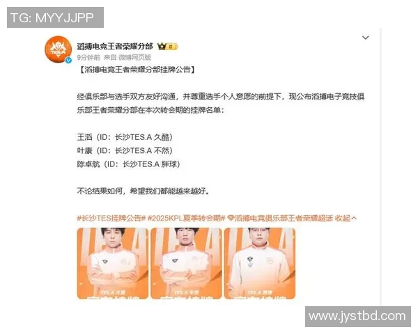 聚焦王者荣耀TES团队协作的成功秘诀与挑战分析